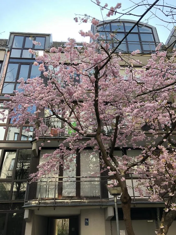 Zentrales Eg Apartment Im Glockenbachviertel Mnichov 0*,