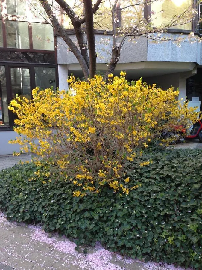 מינכן Zentrales Eg Apartment Im Glockenbachviertel גרמניה